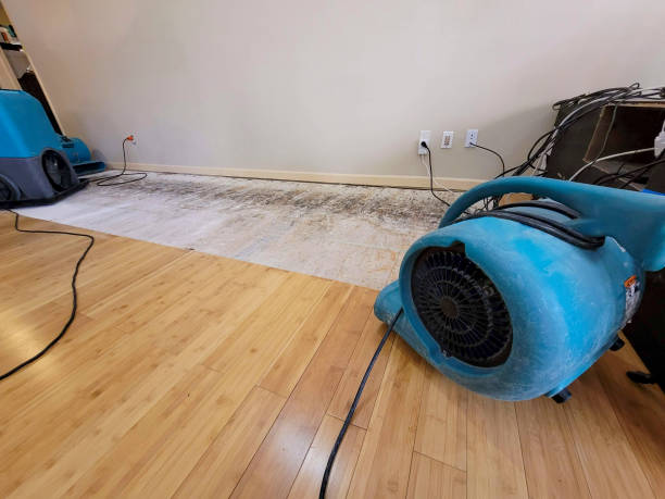 Professional Ceiling Water Damage Repair technician working in Culver City, CA